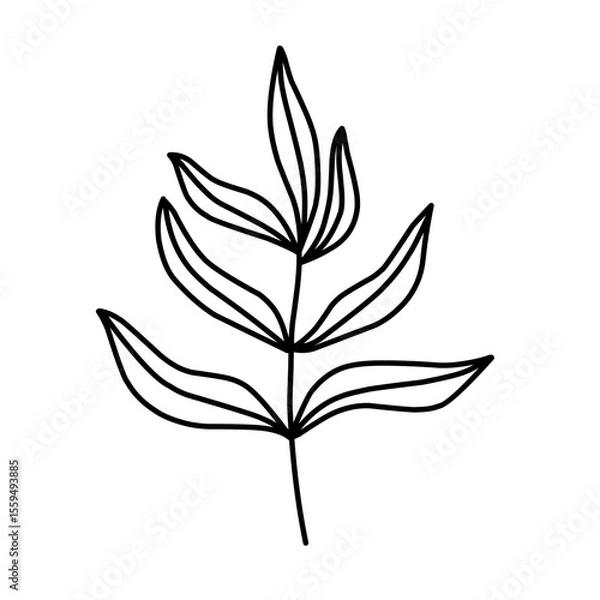 Fototapeta branch leaf line vector