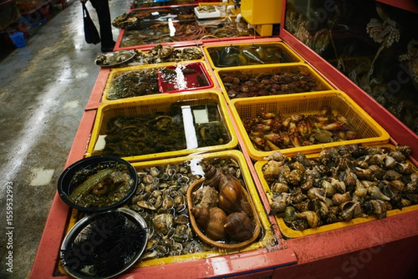 Obraz チャガルチ市場　釜山　韓国