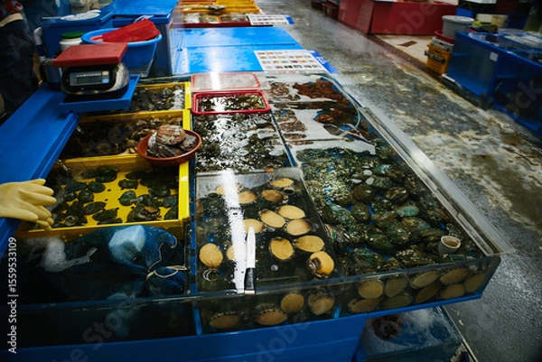 Obraz チャガルチ市場　釜山　韓国