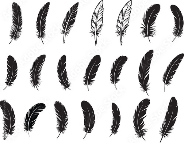 Obraz Feather Silhouette Vector Set – Quill, Plume, and Pen Icons Feathers vector set in a flat style. Pen icon. Black quill feather silhouette. Plumelet collection isolated on white background 