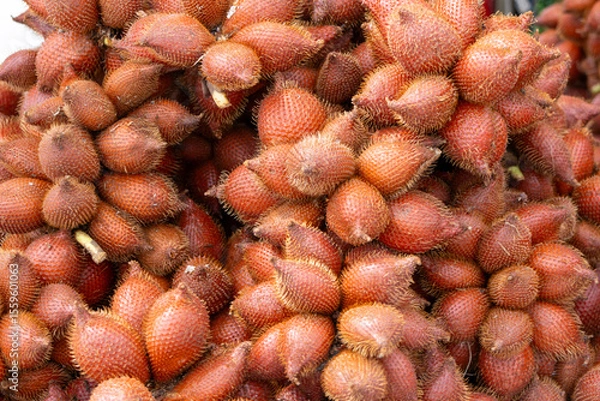 Obraz pile of Salacca fruits, also known as snake fruit, showcasing their unique reddish-brown, scaly skin and thorny appearance.