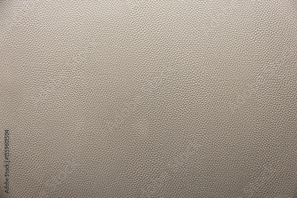Obraz Detailed Leather Surface Background