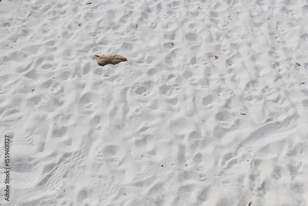Obraz Fine white sand that glistens and reflects the sunlight.
