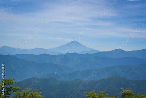 Obraz 鷹巣山から見る富士山