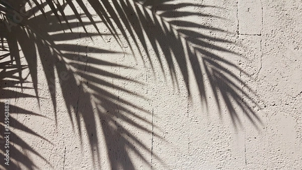 Obraz Palm leaf shadows on a bright surface. Minimal, sunny, tropical mood.