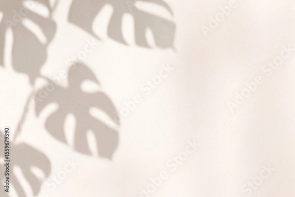 Obraz ベージュ背景に映えるモンステラのシルエット