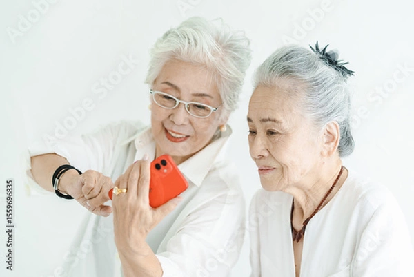Fototapeta 笑顔でスマートフォンの画面を見るシニア女性たち