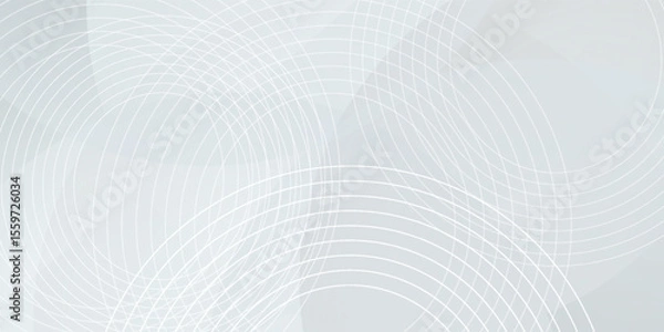 Fototapeta White geometric abstract background with overlap layer. Modern circle lines pattern