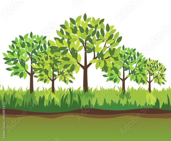 Obraz group of green trees in the garden green trees growing