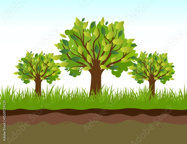 Obraz group of green trees in the garden green trees growing