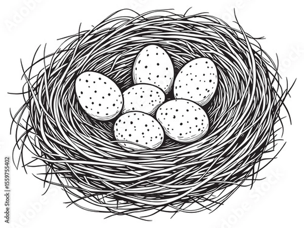 Fototapeta vector illustration of bird nest with eggs outline style