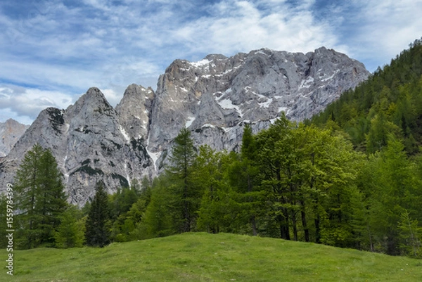 Fototapeta alpine scene with snow-capped mountains and lush pine trees over a green meadow. Perfect for travel ads and nature
