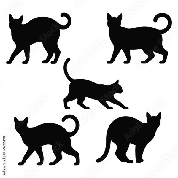 Fototapeta Collection of Five Black Cat Silhouettes in Various Poses on White Background