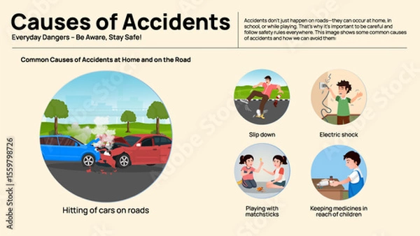 Obraz Causes of Road Accidents Infographic - Human and Environmental Factors in Road Safety