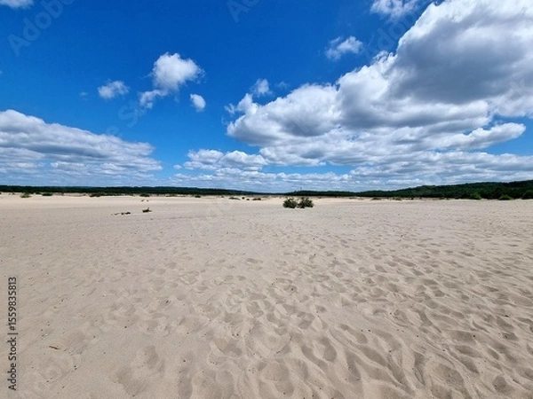 Fototapeta Bledow Desert (Pustynia Błędowska) is an area of sands and gravels located between Błędów and the villages of Chechło and Klucze in Poland. 