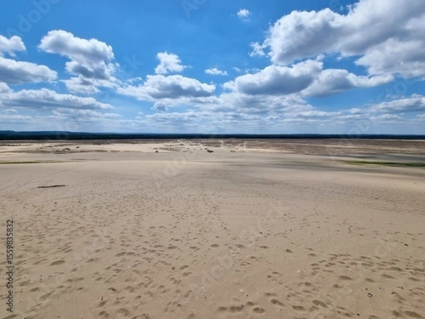 Fototapeta Bledow Desert (Pustynia Błędowska) is an area of sands and gravels located between Błędów and the villages of Chechło and Klucze in Poland. 