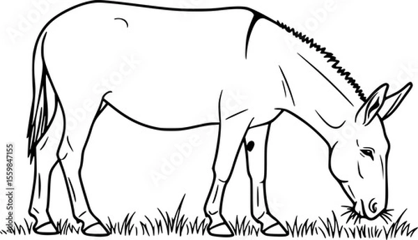 Fototapeta mule eat grass line art silhouette vector illustration
