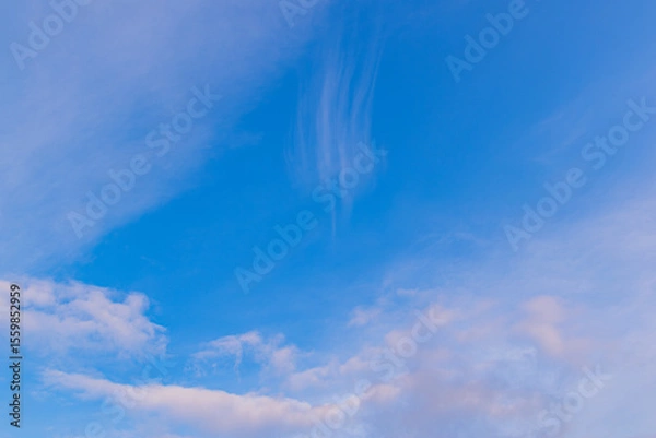 Fototapeta 青空の川