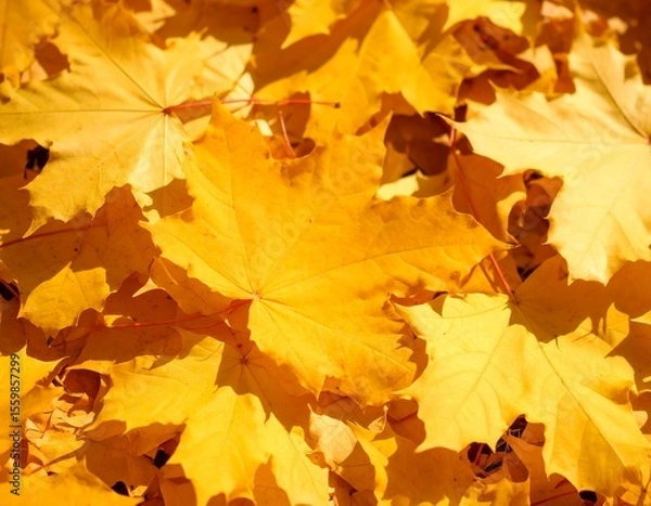 Fototapeta yellow, autumn leaves on the ground background AI generated