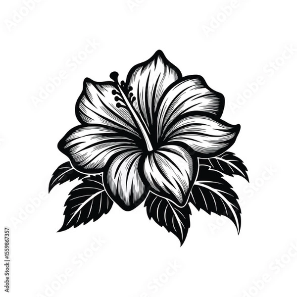 Obraz Elegant hibiscus flower in smooth vector line art, black ink style on white canvas in Adobe Illustrator Artwork