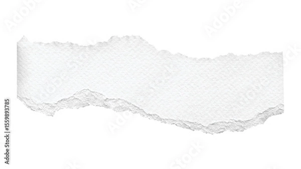 Fototapeta Roughly torn piece of white paper with feathered edges, horizontal strip, transparent background.