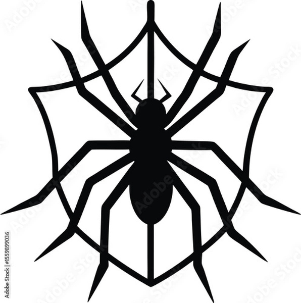 Obraz spider on a white background