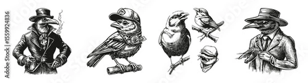 Obraz Vintage Illustrations of Stylized Birds and Characters in Hats, vector illustration, engraving design, logo design set, black and white line