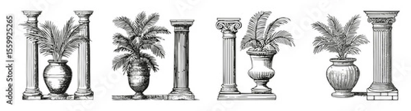 Obraz Vintage Engraving of Decorative Columns with Palm Leaves and Vases, vector illustration, engraving design, logo design set, black and white line
