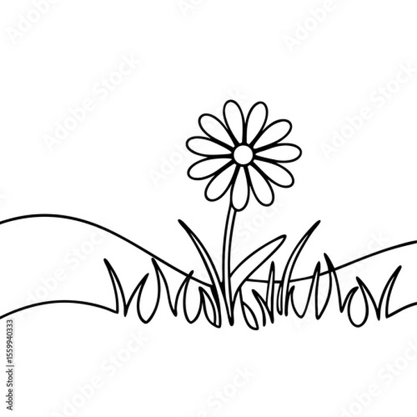 Fototapeta Single daisy in field line art illustration. Simple daisy with green grass and rolling hills drawn in minimalist style. Perfect daisy design for coloring book pages, greeting cards.