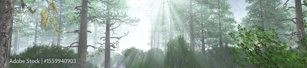 Fototapeta Forest in the morning in a fog in the sun, trees in a haze of light, glowing fog among the trees, 3D rendering