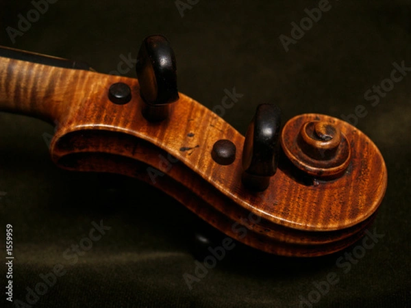 Obraz violin scroll, neck, and pegs on green velvet