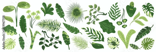 Fototapeta Collection of exotic tropical leaves. Hawaiian plants set. Vector elements isolated on a white background. Realistic botanical illustration in a modern flat style