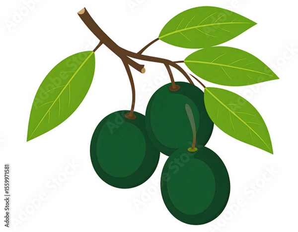 Fototapeta An artistic rendering of a natural branch showcasing three plump green fruits amidst verdant foliage.