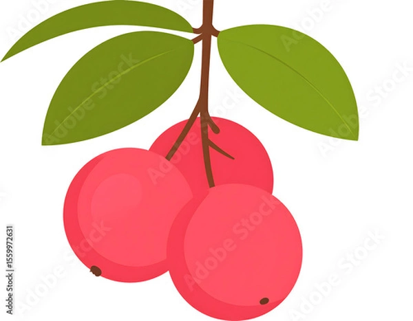 Fototapeta A charming illustration of three ripe red fruits and lush green leaves gracefully hanging from a natural branch.