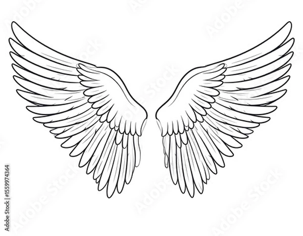 Fototapeta Beautifully rendered feathered wings symbolize soaring aspirations and celestial protection.