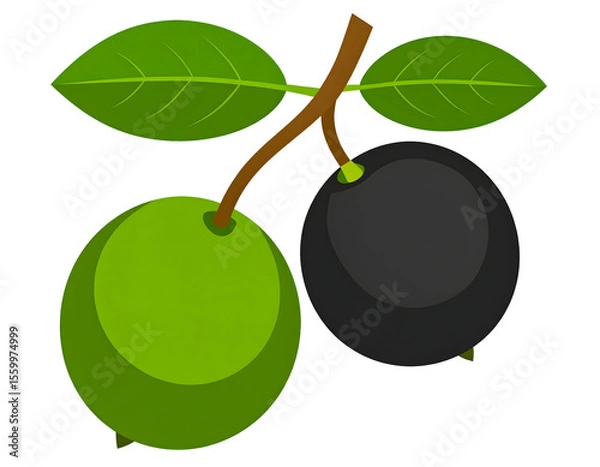 Fototapeta An artistic rendering of two olives, one green and one black, growing on a small leafy branch.