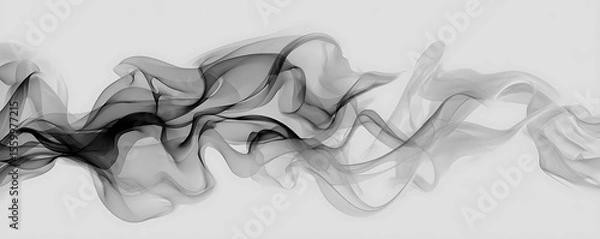 Obraz Abstract grayscale image featuring flowing smoke patterns against a light background in a horizontal format