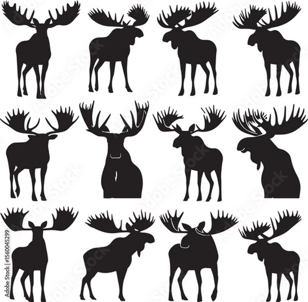 Obraz Moose Vector In Black and White