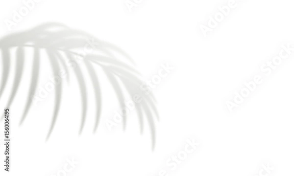 Fototapeta Palm leaf shadow isolated on white background. Gray realistic blurred tropical leaves. Design element for summer banner, flyer, poster, mockup. Natural shadows overlay effect. Vector illustration
