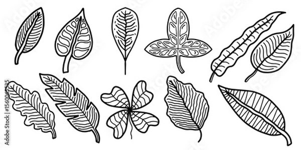 Fototapeta Hand drawn doodle style botanical leaf vector collection. Various hand sketch leaf vectors nature inspired leaf vector elements
