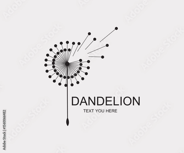 Fototapeta Dandelion flower logo simple creative template on white background . Vector design