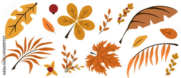 Fototapeta Autumn leaves set isolated transparent background. Vector illustration of colored dry Autumn leaves includes palm tree, chestnut tree, maple tree. Perfect Autumn design element template design. EPS 10