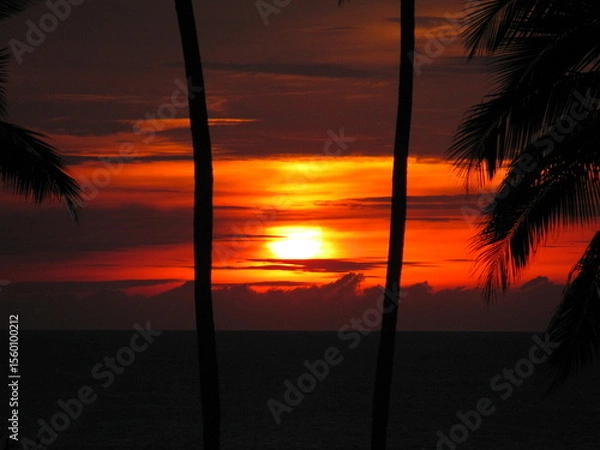 Obraz Wedding-themed image with romantic and decorative elements