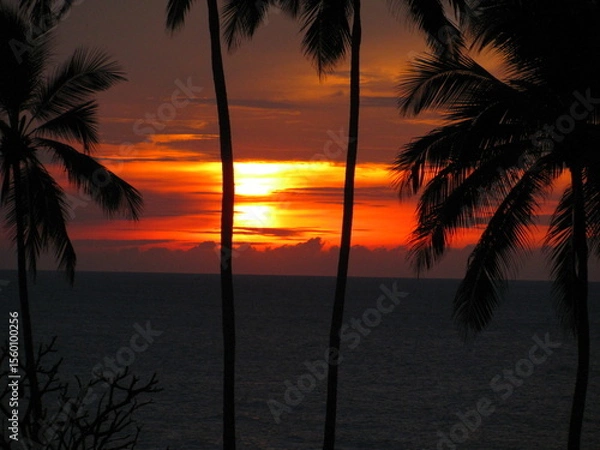 Obraz Wedding-themed image with romantic and decorative elements