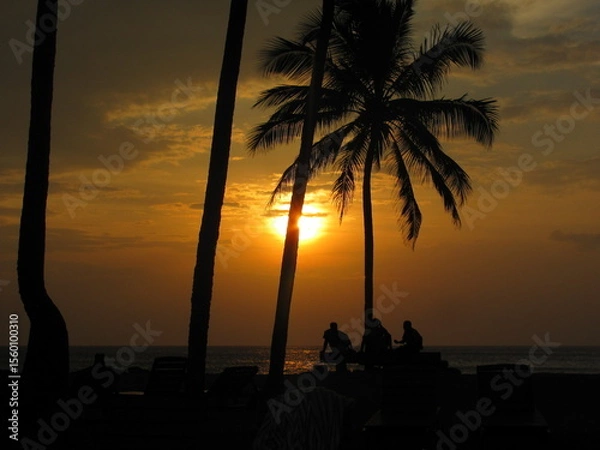 Obraz Palm trees at sun down lighting