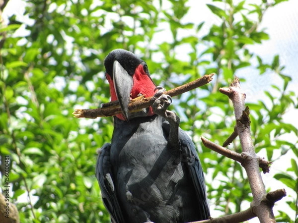 Obraz Wedding-themed image with romantic and decorative elements