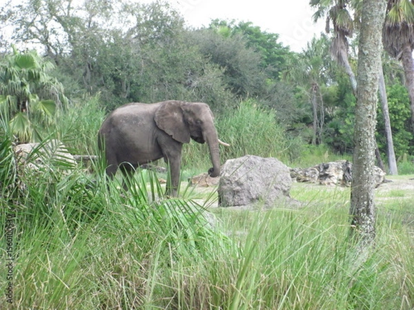 Obraz Wedding-themed image with romantic and decorative elements
