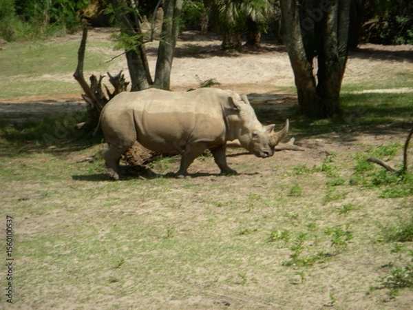 Obraz Wedding-themed image with romantic and decorative elements