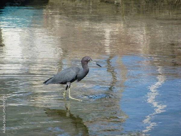Obraz Wedding-themed image with romantic and decorative elements