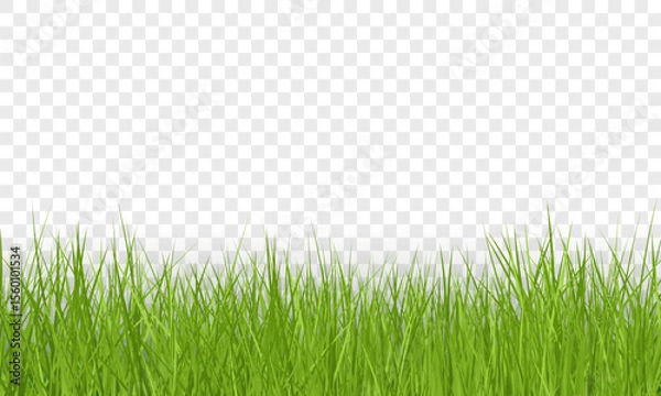 Fototapeta Green Grass Border on Transparent Background. Vector Illustration